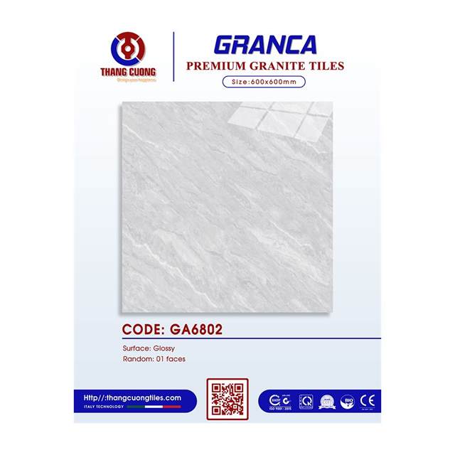 Gạch Porcelain Thắng Cường 60x60 GA6802