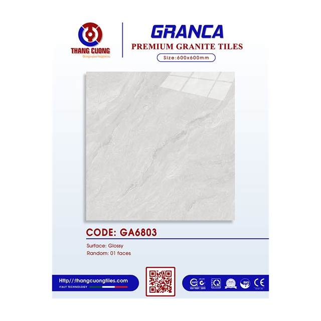 Gạch Porcelain Thắng Cường 60x60 GA6803
