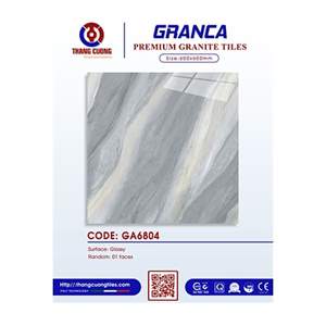 Gạch Porcelain Thắng Cường 60x60 GA6804