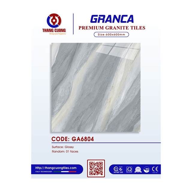 Gạch Porcelain Thắng Cường 60x60 GA6804