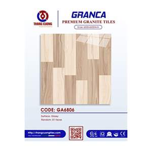 Gạch Porcelain Thắng Cường 60x60 GA6806