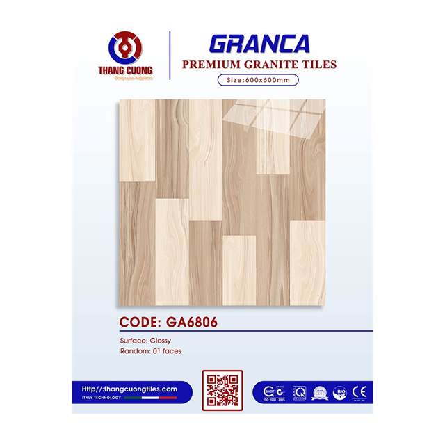 Gạch Porcelain Thắng Cường 60x60 GA6806