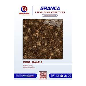 Gạch Porcelain Thắng Cường 60x60 GA6813