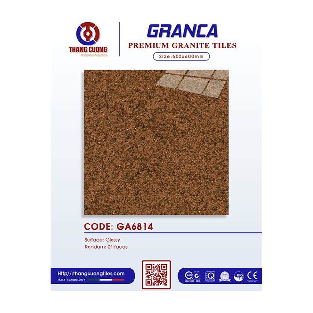 Gạch Porcelain Thắng Cường 60x60 GA6814