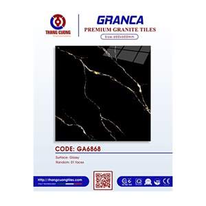 Gạch Porcelain Thắng Cường 60x60 GA6868
