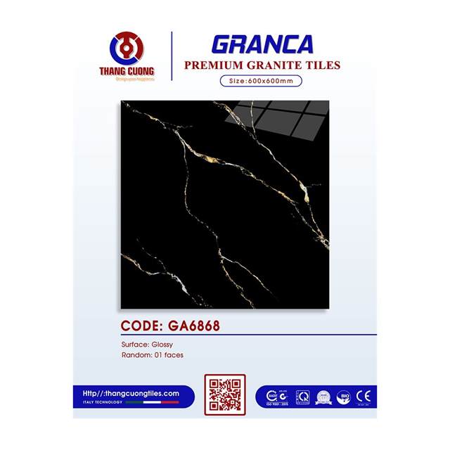 Gạch Porcelain Thắng Cường 60x60 GA6868