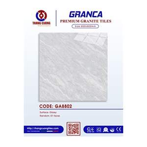 Gạch Porcelain Thắng Cường 80x80 GA8802