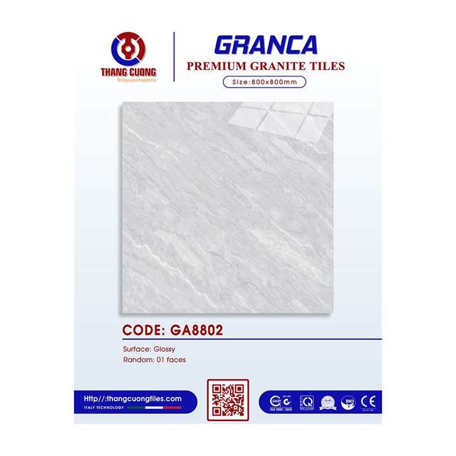 Gạch Porcelain Thắng Cường 80x80 GA8802