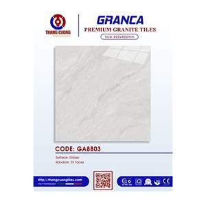 Gạch Porcelain Thắng Cường 80x80 GA8803