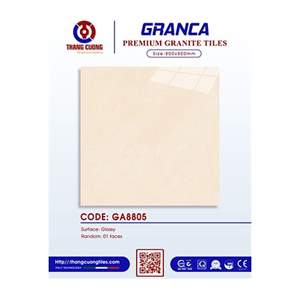 Gạch Porcelain Thắng Cường 80x80 GA8805