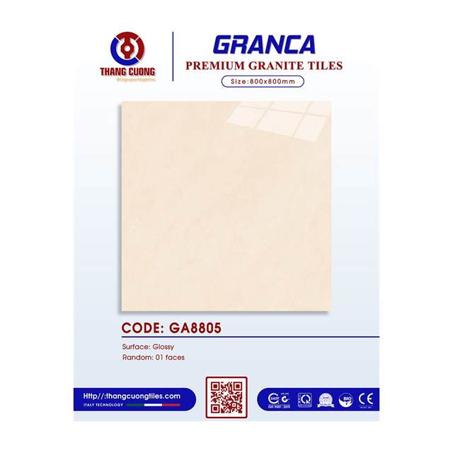 Gạch Porcelain Thắng Cường 80x80 GA8805