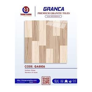 Gạch Porcelain Thắng Cường 80x80 GA8806