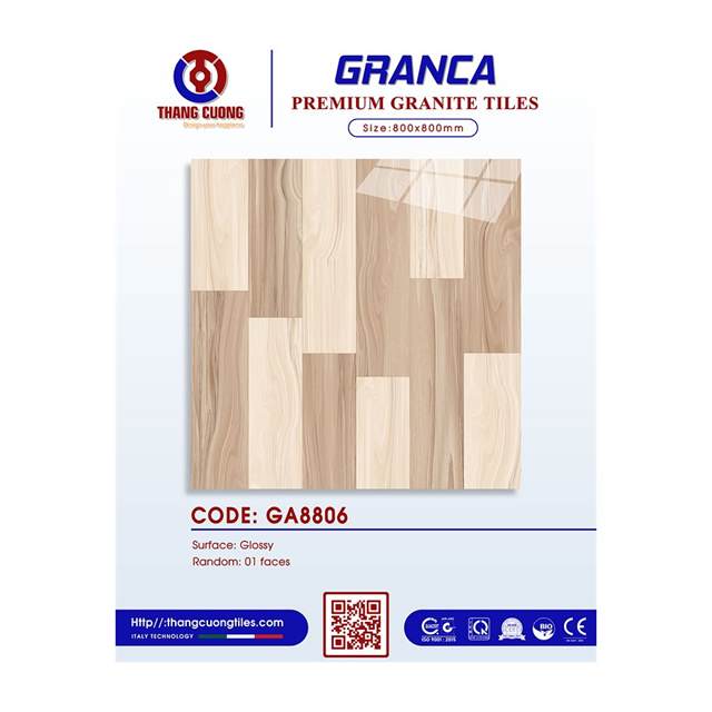 Gạch Porcelain Thắng Cường 80x80 GA8806