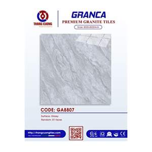 Gạch Porcelain Thắng Cường 80x80 GA8807