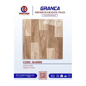 Gạch Porcelain Thắng Cường 80x80 GA8808