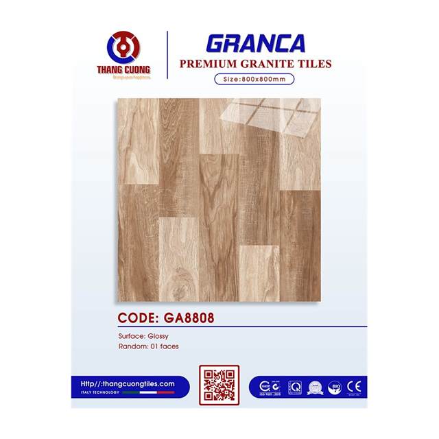 Gạch Porcelain Thắng Cường 80x80 GA8808