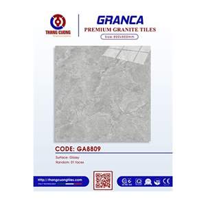 Gạch Porcelain Thắng Cường 80x80 GA8809