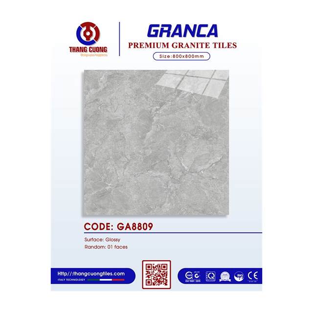 Gạch Porcelain Thắng Cường 80x80 GA8809