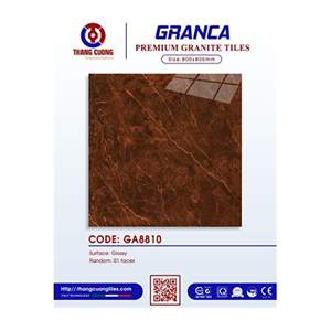 Gạch Porcelain Thắng Cường 80x80 GA8810