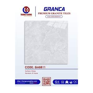 Gạch Porcelain Thắng Cường 80x80 GA8811