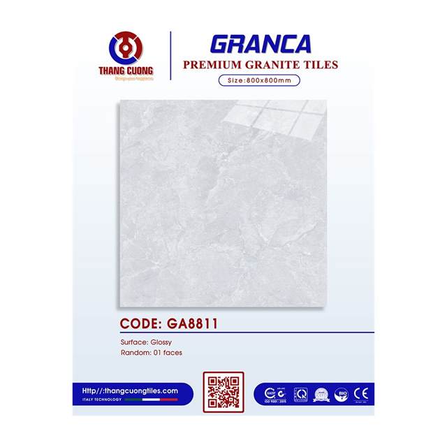 Gạch Porcelain Thắng Cường 80x80 GA8811