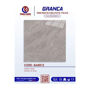 Gạch Porcelain Thắng Cường 80x80 GA8812
