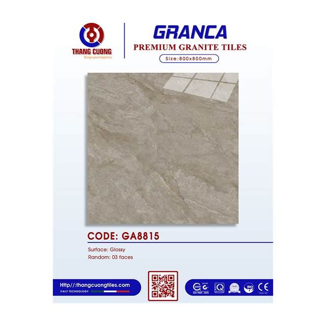 Gạch Porcelain Thắng Cường 80x80 GA8815