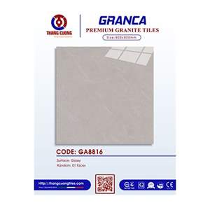 Gạch Porcelain Thắng Cường 80x80 GA8816