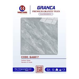 Gạch Porcelain Thắng Cường 80x80 GA8817