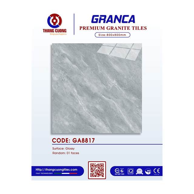 Gạch Porcelain Thắng Cường 80x80 GA8817