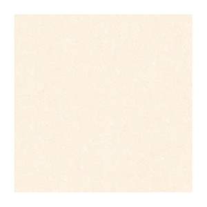 Gạch Porcelain Thắng Cường 60x60 6636-NOLIN