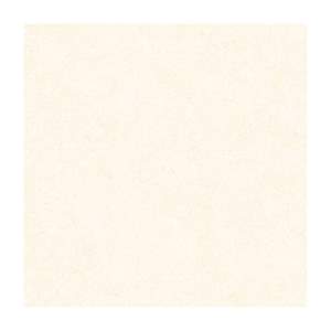 Gạch Porcelain Thắng Cường 60x60 6640