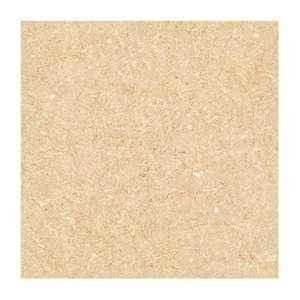 Gạch Porcelain Thắng Cường 60x60 6646