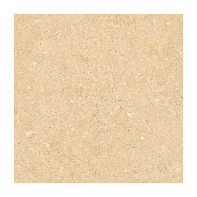 Gạch Porcelain Thắng Cường 60x60 6646
