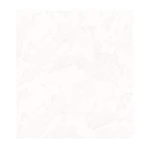 Gạch Porcelain Thắng Cường 60x60 6648