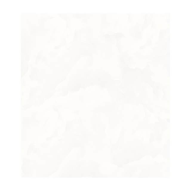Gạch Porcelain Thắng Cường 60x60 6648
