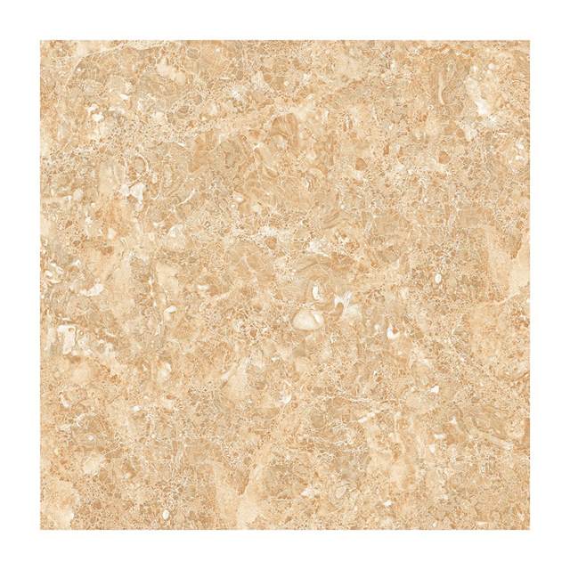 Gạch Porcelain Thắng Cường 60x60 6649