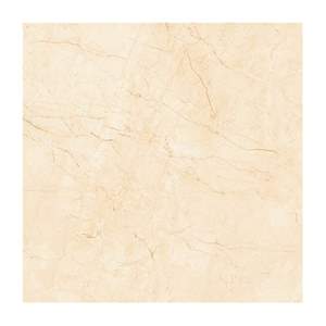 Gạch Porcelain Thắng Cường 60x60 6650