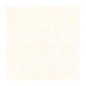 Gạch Porcelain Thắng Cường 60x60 6652