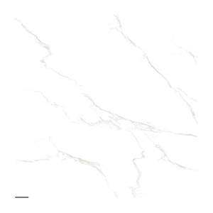 Gạch Porcelain Thắng Cường 60x60 6654