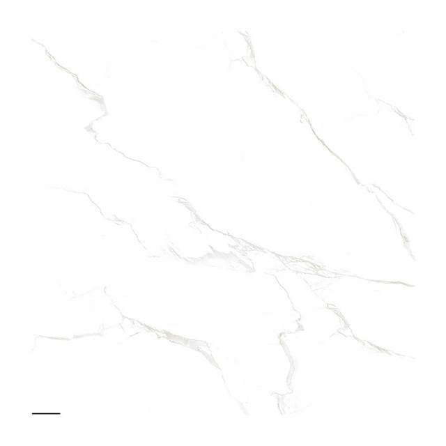 Gạch Porcelain Thắng Cường 60x60 6654
