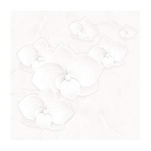Gạch Porcelain Thắng Cường 60x60 6658
