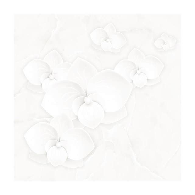 Gạch Porcelain Thắng Cường 60x60 6658