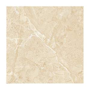 Gạch Porcelain Thắng Cường 60x60 6660M