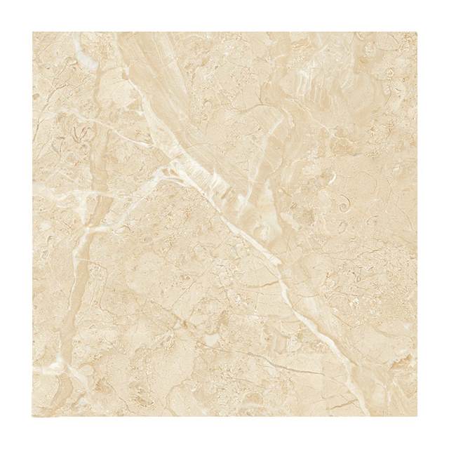 Gạch Porcelain Thắng Cường 60x60 6660M
