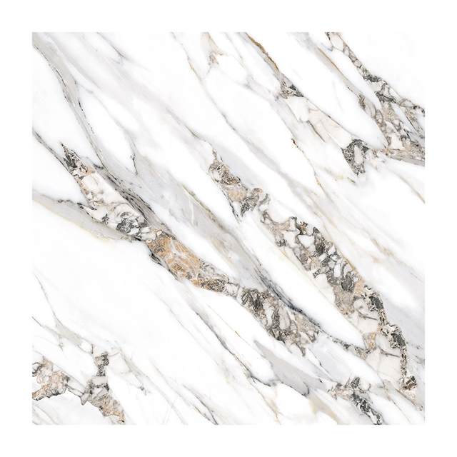 Gạch Porcelain Thắng Cường 60x60 6669