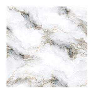Gạch Porcelain Thắng Cường 60x60 6673