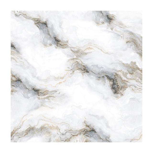 Gạch Porcelain Thắng Cường 60x60 6673