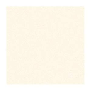 Gạch Porcelain Thắng Cường 60x60 A6601
