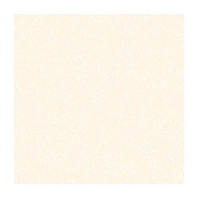 Gạch Porcelain Thắng Cường 60x60 A6601